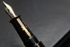 ShiZen Kingfisher's Devotion on M4C Fountain Pen