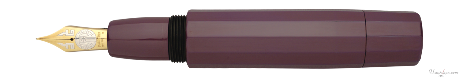 Danitrio Roiro-migaki in Purple on Junikaku Fountain Pen