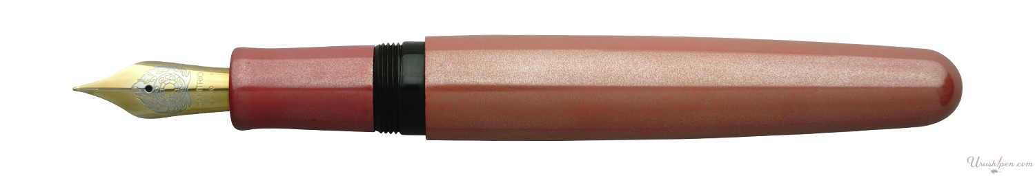 Danitrio Roiro-migaki in Pink on Takumi Fountain Pen