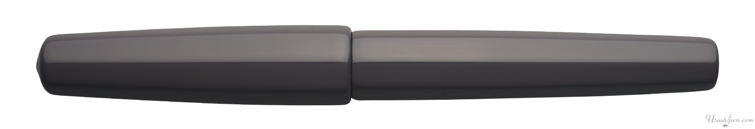 Danitrio Roiro-migaki in Purple on Hakkaku Fountain Pen