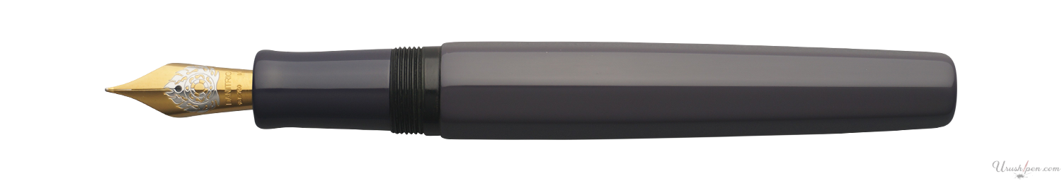 Danitrio Roiro-migaki in Purple on Hakkaku Fountain Pen