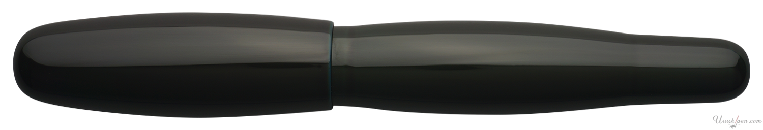 Danitrio Tame-Nuri in Blue Green on Hyotan Fountain Pen