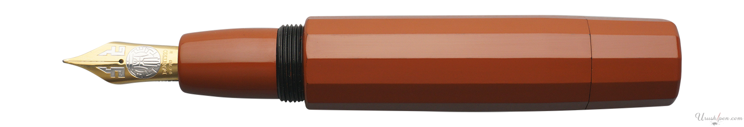 Danitrio Roiro-migaki in Bengara on Junikaku Fountain Pen
