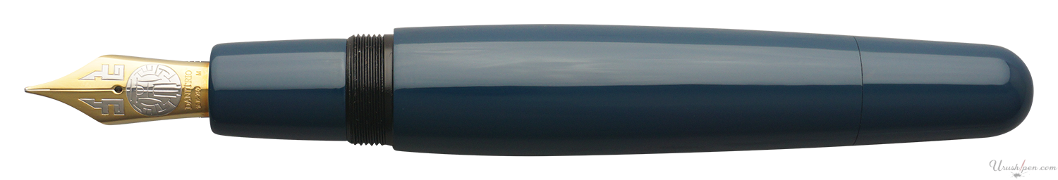 Danitrio Roiro-migaki in Blueberry on Mikado Fountain Pen