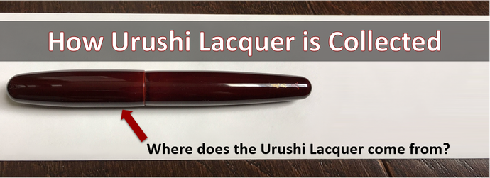 How Urushi Lacquer is Collected