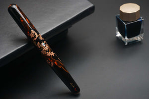ShiZen Sakura's Reflection on Ranga M4C Fountain Pen