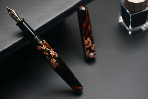 ShiZen Sakura's Reflection on Ranga M4C Fountain Pen