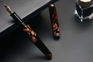 ShiZen Sakura's Reflection on Ranga M4C Fountain Pen