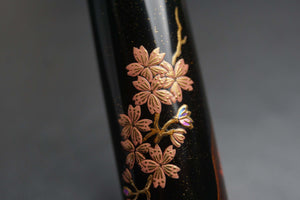 ShiZen Sakura's Reflection on Ranga M4C Fountain Pen