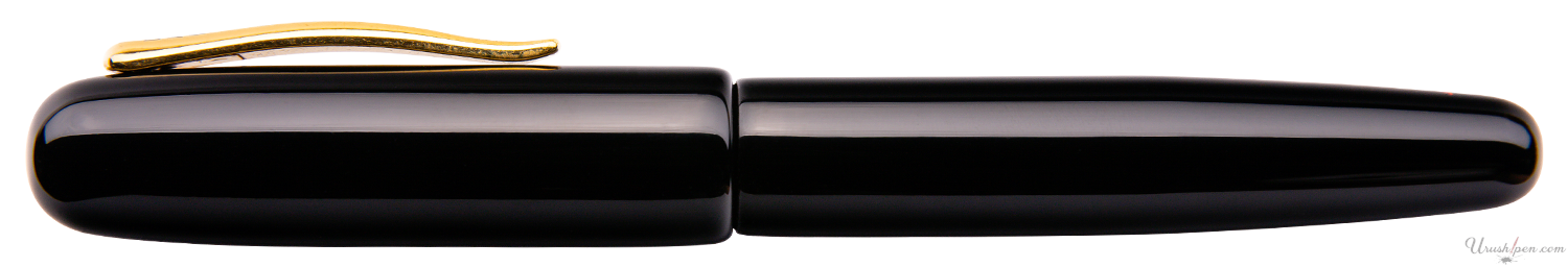 Danitrio Roiro-migaki Black on Takumi Fountain Pen