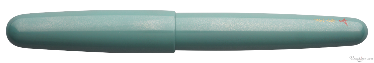 Danitrio Roiro-migaki in Teal on Takumi Fountain Pen