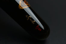 Load image into Gallery viewer, ShiZen Dragon&#39;s Descent on Ranga M5 Fountain Pen