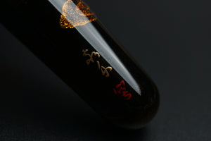 ShiZen Dragon's Descent on Ranga M5 Fountain Pen