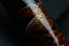 Load image into Gallery viewer, ShiZen Dragon&#39;s Descent on Ranga M5 Fountain Pen