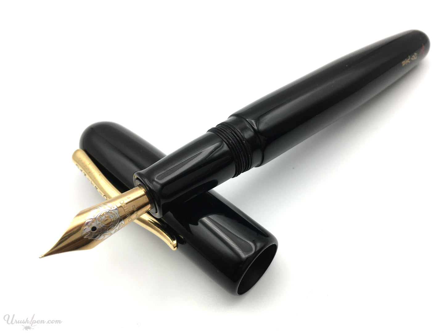 Danitrio Roiro-migaki Black on Takumi Fountain Pen Propped