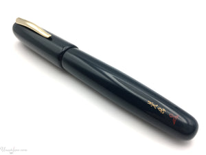 Danitrio Roiro-migaki in Blue Berry on Takumi Fountain Pen Diagonal