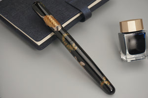 ShiZen Two Swimming Turtles on Ranga M5 Fountain Pen
