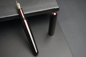 ShiZen Kurai Murasaki Tame-nuri on Ranga M5 Fountain Pen